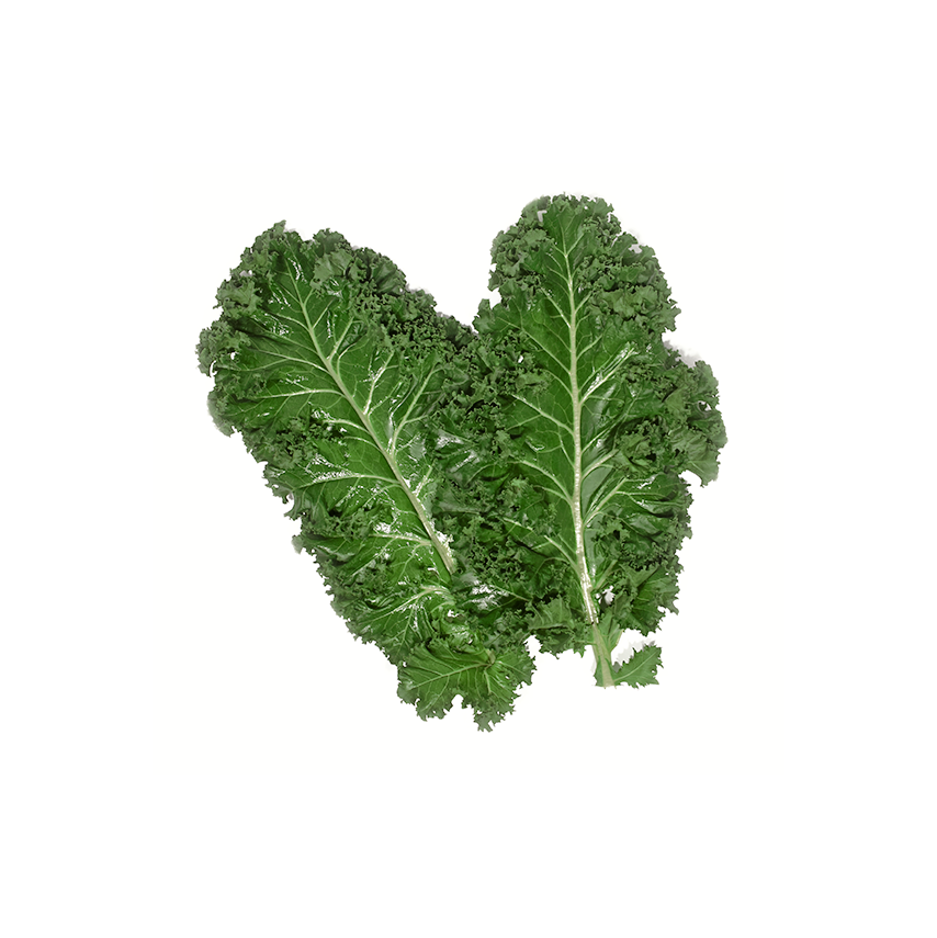 Kale Yaprağı (Kale Leaves)