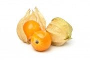 Altın Çilek(Golden Berry)