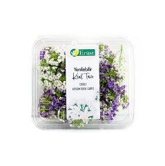 Kral Tacı Çiçeği (Alyssum Royal Carpet)
