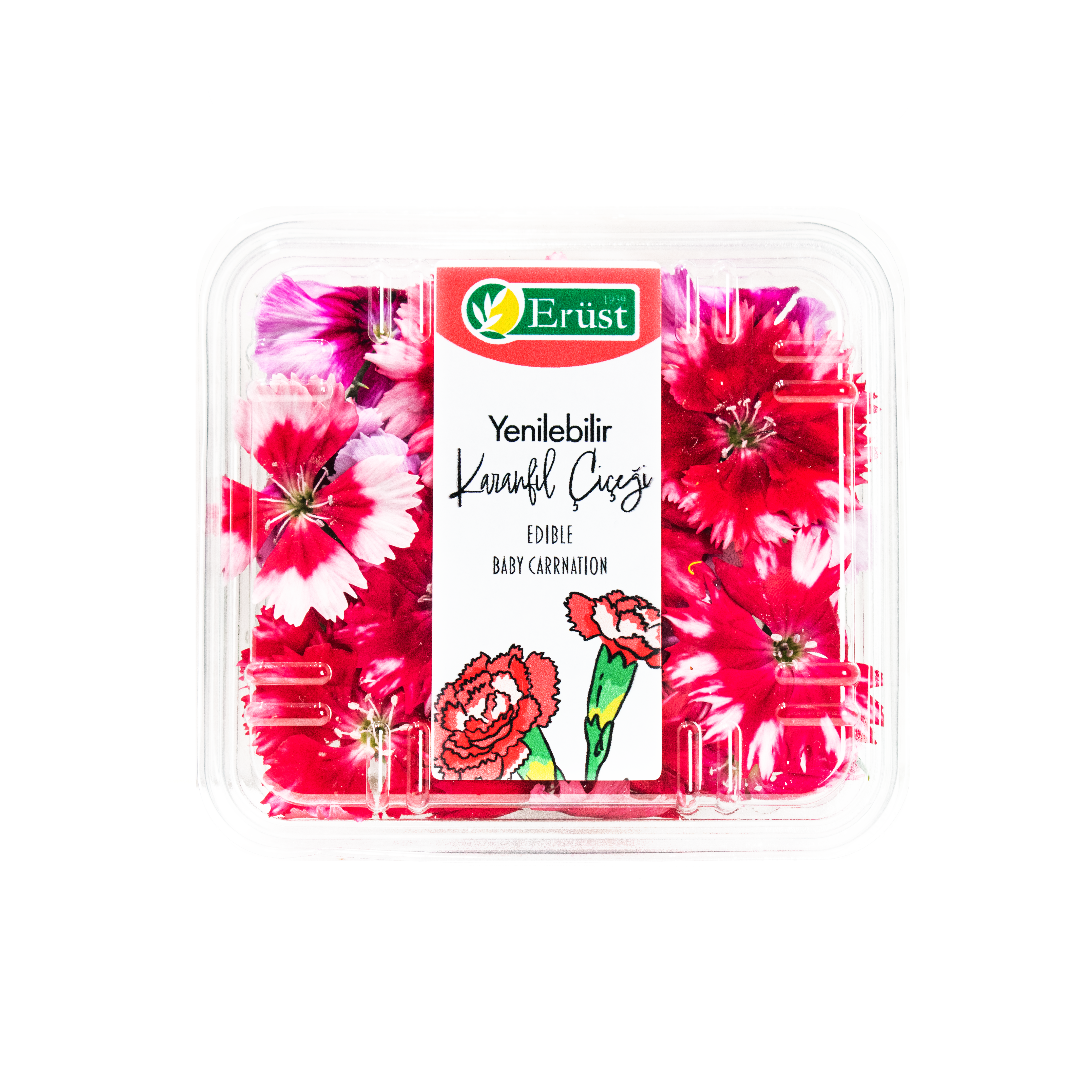 Mini Karanfil Çiçeği (Baby Carnation)