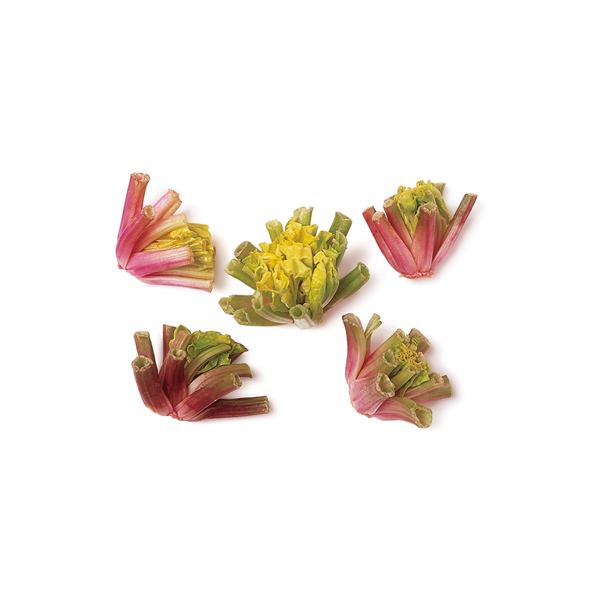 Mexican Pepper - Erüst Çiftliği