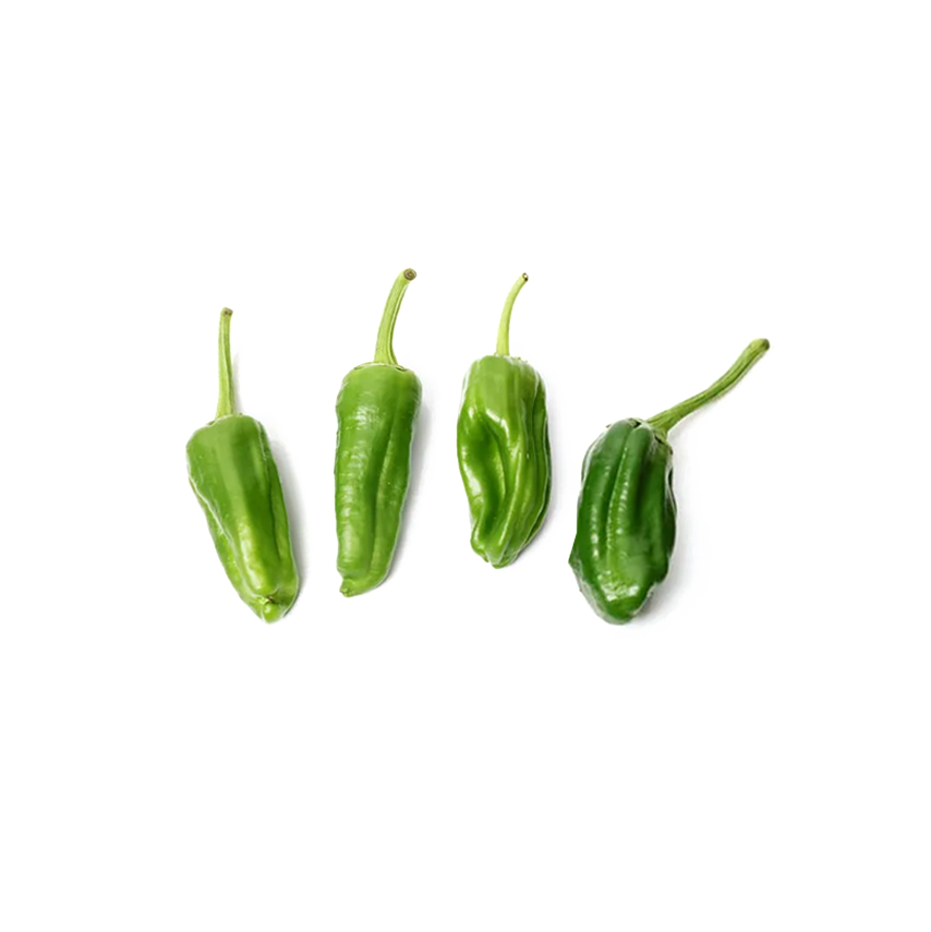 Padron Pepper - Erüst Çiftliği