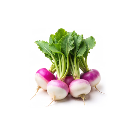 Baby Turnip - Erüst Çiftliği